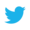 Social icon